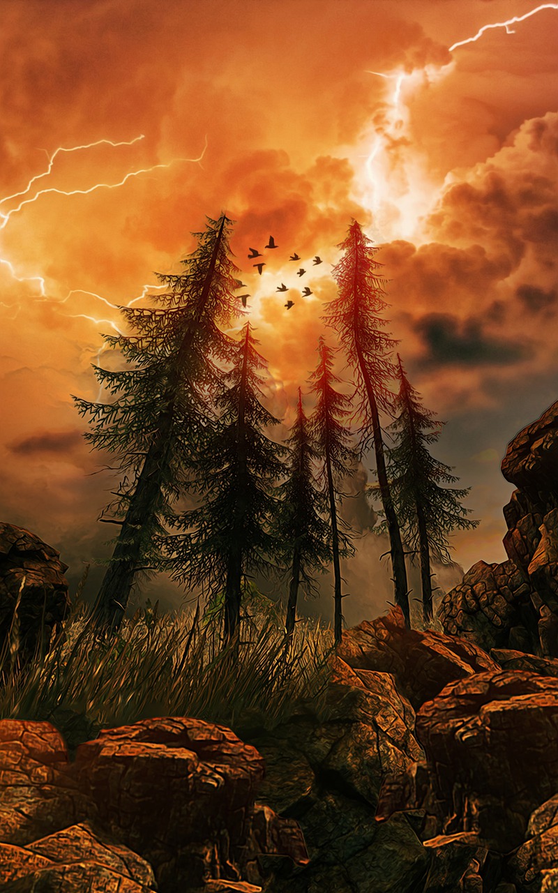forest, trees, storm-6341389.jpg